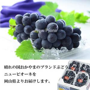 【2026年6月下旬より順次発送】岡山県産 ニューピオーネ 1.5kg(3房~6房)【配送不可地域:離島・北海道・沖縄県】【1308146】