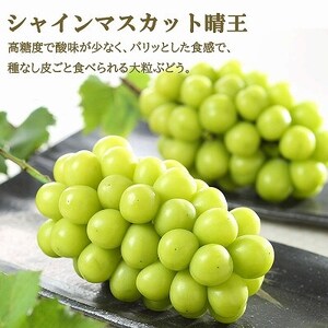 【先行受付】岡山県産　岡山白桃エース2L250g×2玉・シャインマスカット晴王500g×1房　詰合【配送不可地域：離島・北海道・沖縄県】【1308772】