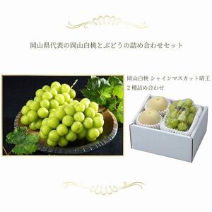 【先行受付】岡山県産　岡山白桃エース2L250g×2玉・シャインマスカット晴王500g×1房　詰合【配送不可地域：離島・北海道・沖縄県】【1308772】