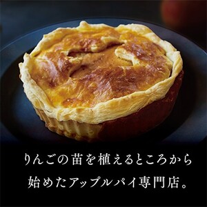 クラシックアップルパイ【配送不可地域：離島】【1331462】