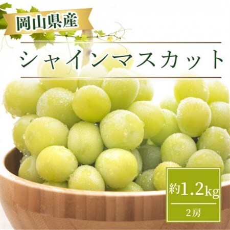 【2026年9月より順次発送】岡山県産 シャインマスカット  約1.2kg(2房)【配送不可地域：離島】【1332985】