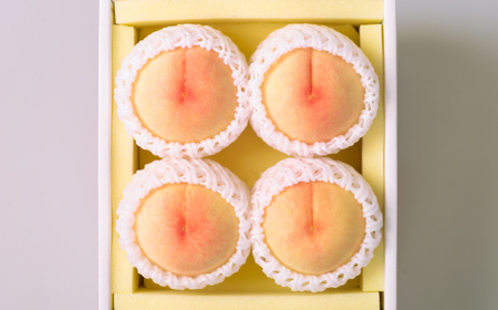 ◆先行受付◆　岡山県産　岡山白桃4～5玉　2026年発送【配送不可地域：離島・北海道・沖縄県】【1349771】