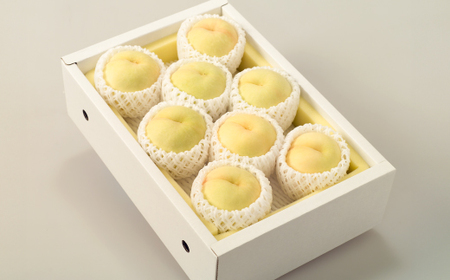 ◆先行受付◆　岡山県産　岡山白桃8～10玉　2026年発送【配送不可地域：離島・北海道・沖縄県】【1349776】