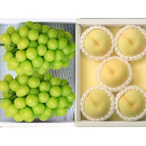 ◆先行受付◆　岡山白桃とシャインマスカット　2026年発送【配送不可地域：離島・北海道・沖縄県】【1349778】