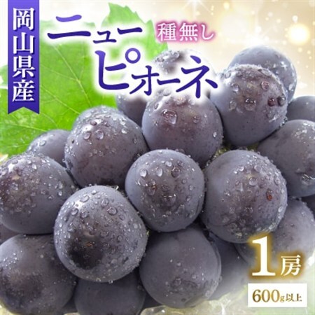 ◆先行受付◆　岡山県産　秋のニューピオーネ　2026年発送【配送不可地域：離島・北海道・沖縄県】【1350316】
