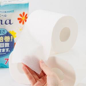 エリエール(イーナ) トイレットペーパー 1.5倍 75m シングル 8R×12パック(96個)【配送不可地域：離島・北海道・沖縄県】【1352856】