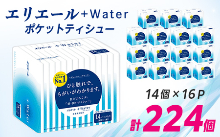 エリエール +Water(プラス ウォーター)ポケットティシュー 14組14個×16P(224個)【配送不可地域：離島・北海道・沖縄県】【1352859】