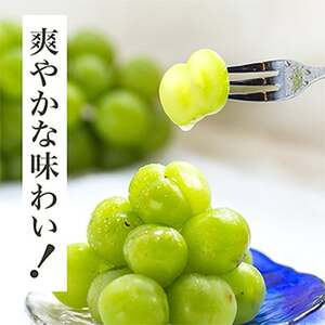 【先行受付】岡山県産　瀬戸ジャイアンツ2房　(1房480g以上)合計約1kg　化粧箱入り【配送不可地域：離島・北海道・沖縄県】【1357578】