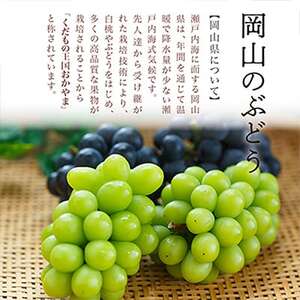 【先行受付】岡山県産　瀬戸ジャイアンツ2房　(1房480g以上)合計約1kg　化粧箱入り【配送不可地域：離島・北海道・沖縄県】【1357578】