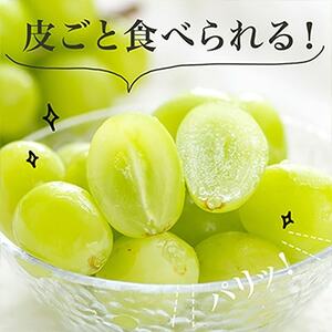 【先行受付】岡山県産　シャインマスカット『晴王』4房(1房480g以上・合計約2kg)　【配送不可地域：離島・北海道・沖縄県】【1360475】