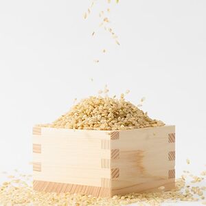 【突鉱土育ち】巨大胚芽米CoCoRo 5kg【1361992】