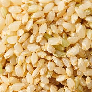 【突鉱土育ち】巨大胚芽米CoCoRo 5kg【1361992】