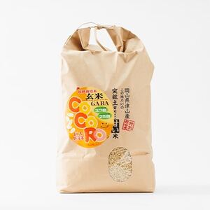 【突鉱土育ち】巨大胚芽米CoCoRo 5kg【1361992】