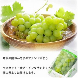 【2026年6月下旬より順次発送】岡山県産 マスカット・オブ・アレキサンドリア 700g×1房【配送不可地域：離島・北海道・沖縄県】【1364674】