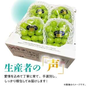 【2026年発送】岡山名産【晴王】シャインマスカット2kg!8月下旬以降順次発送【配送不可地域：離島】【1365277】