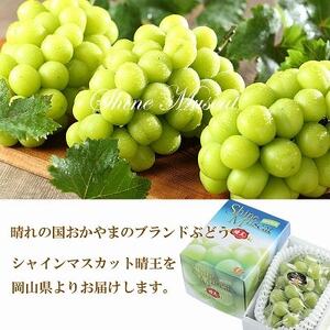 【2026年7月中旬より順次発送】岡山県産 シャインマスカット 晴王 600g×1房【配送不可地域：離島・北海道・沖縄県】【1365904】