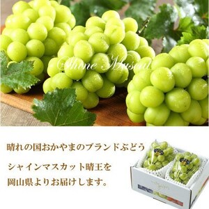 【2026年7月中旬より順次発送】岡山県産 シャインマスカット 晴王 600g×2房【配送不可地域：離島・北海道・沖縄県】【1365935】