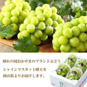 【2026年7月中旬より順次発送】岡山県産 シャインマスカット 晴王 1.5kg(3房～6房)【配送不可地域：離島・北海道・沖縄県】【1365937】