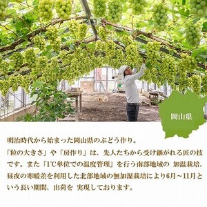 【2026年7月中旬より順次発送】岡山県産 シャインマスカット 晴王 5kg(5房~10房)【配送不可地域:離島・北海道・沖縄県】【1365941】