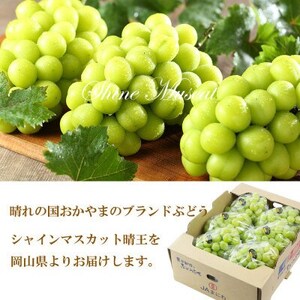 【2026年7月中旬より順次発送】岡山県産 シャインマスカット 晴王 5kg(5房~10房)【配送不可地域:離島・北海道・沖縄県】【1365941】