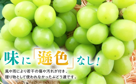 【2026年発送】訳あり!シャインマスカット約2kg!9月上旬～順次発送【人気の岡山産ぶどう】【配送不可地域：離島】【1378276】