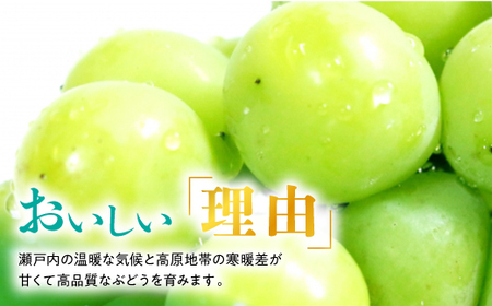 【2026年発送】訳あり!シャインマスカット約2kg!9月上旬～順次発送【人気の岡山産ぶどう】【配送不可地域：離島】【1378276】