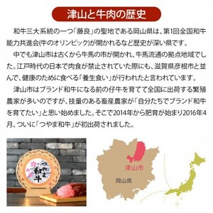【岡山県産黒毛和牛】つやま和牛切り落とし600g【配送不可地域:離島】【1402232】