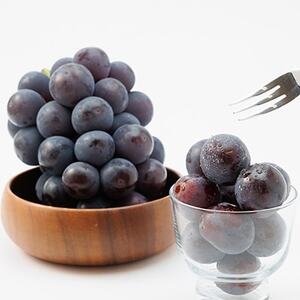 【2026年発送】岡山県産ニューピオーネ約1.2kg(2房)【配送不可地域:離島】【1413100】