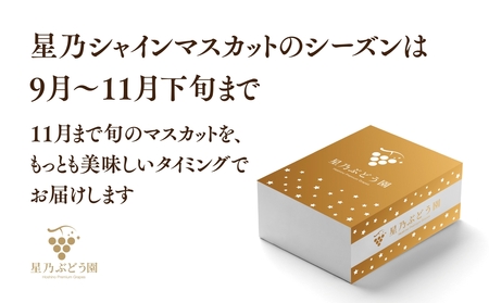 【三つ星ブランド】星乃シャインマスカット プレミアムクラス(岡山県産) 1房×850g以上【配送不可地域：離島・北海道・沖縄県】【1418920】