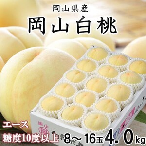 【先行受付】岡山白桃 エース 8～16玉 4.0kg 岡山県産【配送不可地域：離島・北海道・沖縄県】【1424434】
