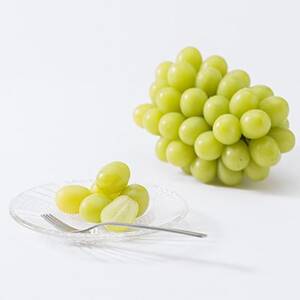 【2026年度発送分】早起き農家の直送便　わけありシャインマスカット1kg【配送不可地域：離島・北海道・沖縄県】【1435798】