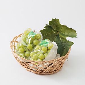 【2026年度発送分】早起き農家の直送便　わけありシャインマスカット1kg【配送不可地域：離島・北海道・沖縄県】【1435798】