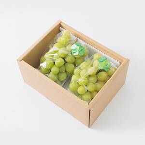 【2026年度発送分】早起き農家の直送便　わけありシャインマスカット1kg【配送不可地域：離島・北海道・沖縄県】【1435798】