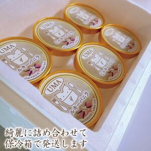 スイーツ専門店の作るこだわりアイスクリーム6個セット バニラアイス 各90ml入り【配送不可地域:離島】【1455004】