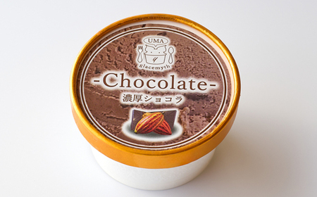 スイーツ専門店の作るこだわりアイスクリーム12個セット チョコアイス 各90ml入り【配送不可地域:離島】【1480515】