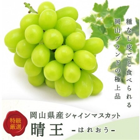 【先行受付】岡山県産 シャインマスカット『晴王』 3～5房 (約2kg)【配送不可地域：離島・北海道・沖縄県】【1499103】