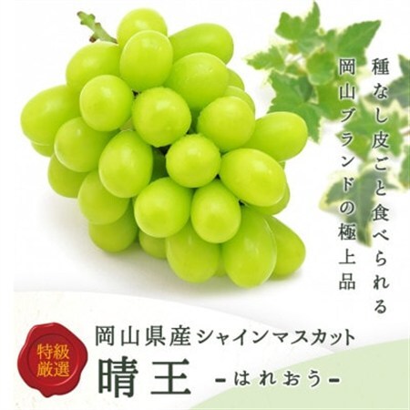 【先行受付】岡山県産 シャインマスカット『晴王』1房(800g以上) 化粧箱入り【配送不可地域：離島・北海道・沖縄県】【1499105】