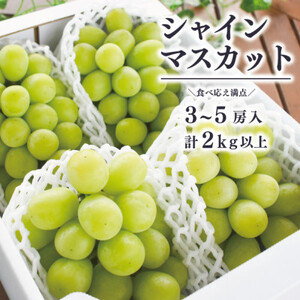 【2025年発送】冬のシャインマスカット3-5房/計2kg～(岡山県産)  冬限定【配送不可地域：離島】【1548980】