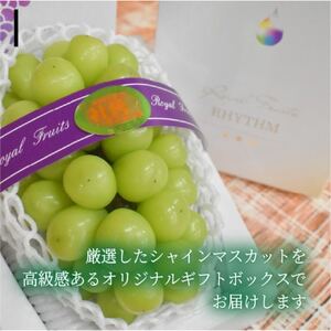 【2026年先行予約】【厳選品】大粒シャインマスカット1房/700g以上(岡山県産)【配送不可地域：離島】【1548995】
