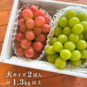 【2026年先行予約】シャインマスカット＆生産者いちおし葡萄 大サイズ2房/1.3kg～(岡山県産)【配送不可地域：離島】【1553232】