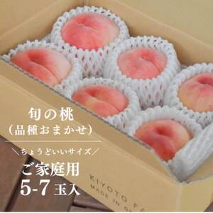 【2026年先行予約】珍しい品種の桃 もも好きのあなたに 旬採り桃 ご家庭用/5-7玉(岡山県産)【配送不可地域:離島】【1571590】