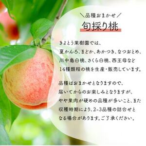 【2026年先行予約】珍しい品種の桃 もも好きのあなたに 旬採り桃 ご家庭用/5-7玉(岡山県産)【配送不可地域:離島】【1571590】