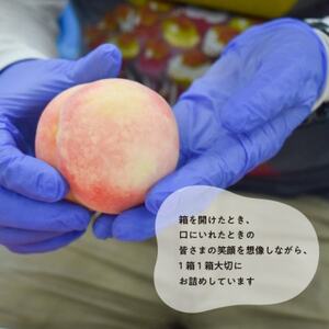 【2026年先行予約】珍しい品種の桃 もも好きのあなたに 旬採り桃 ご家庭用/5-7玉(岡山県産)【配送不可地域:離島】【1571590】