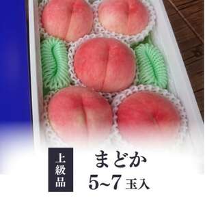 【2026年先行予約】上品な肉質 まどか 白桃 上級品 5-7玉入(岡山県産)【配送不可地域：離島】【1571597】