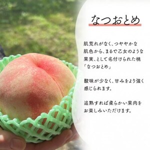 【2026年先行予約】乙女のような可愛い甘い桃「なつおとめ」上級品 5-7玉入(岡山県産)【配送不可地域：離島】【1571600】
