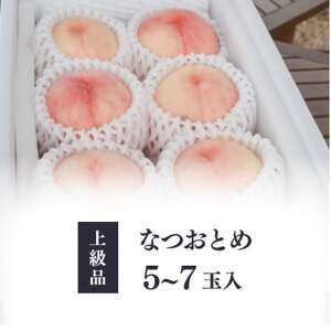 【2026年先行予約】乙女のような可愛い甘い桃「なつおとめ」上級品 5-7玉入(岡山県産)【配送不可地域：離島】【1571600】