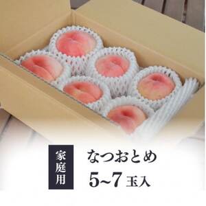 【2026年先行予約】乙女のような可愛い甘い桃  「なつおとめ」家庭用 5-7玉入(岡山県産)【配送不可地域：離島】【1571603】