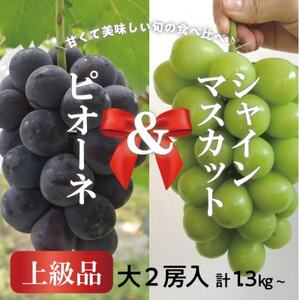 【2026年先行予約】ピオーネ＆シャインマスカット 上級品 大2房 /計1.3kg～(岡山県産)【配送不可地域：離島】【1571760】