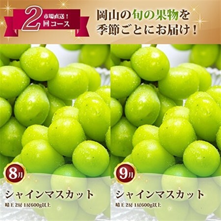 【発送月固定定期便】岡山県産 シャインマスカット『晴王』定期便全2回【配送不可地域：離島・北海道・沖縄県】【4007310】