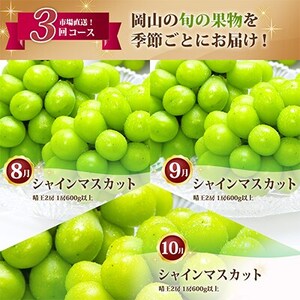 【発送月固定定期便】岡山県産 シャインマスカット『晴王』定期便全3回【配送不可地域：離島・北海道・沖縄県】【4007311】